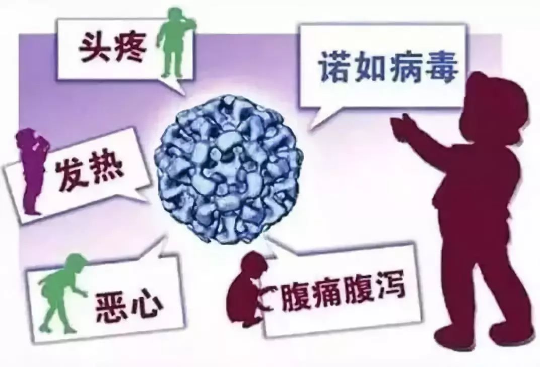 河南省疫情防控最新政策深度解析