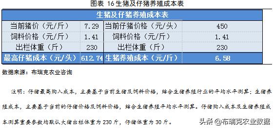 澳门是否可视为疫区的全面理解与评估