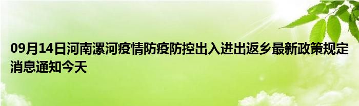 河南省疫情返乡动态调整与积极应对最新消息