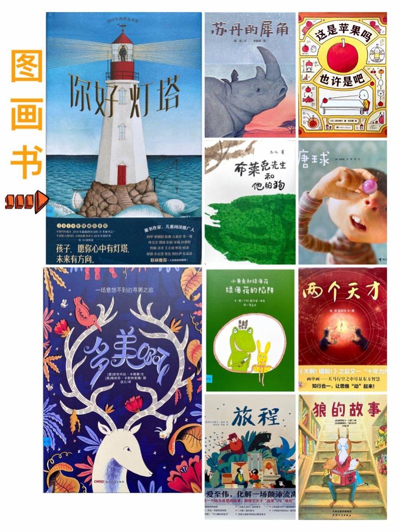 澳门与台湾携手应对疫情挑战，共克时艰