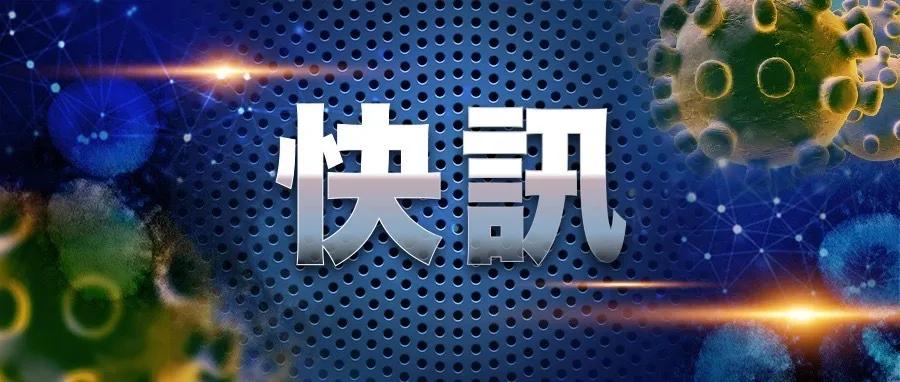 澳门疫情新政与黑龙江最新动态探析