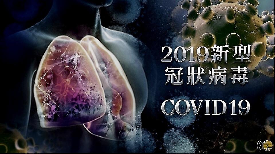 澳门与贵州携手联防联控，共同筑牢健康防线应对疫情挑战