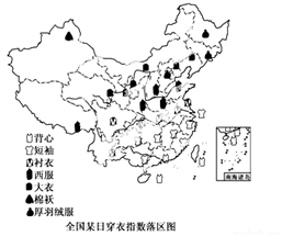 广西地域文化概览，市与地域特色解析