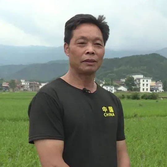疫情背景下的广西壮族自治区县域情况深度解析