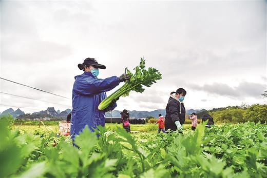 广西疫情防控，坚定信心，携手共克时艰