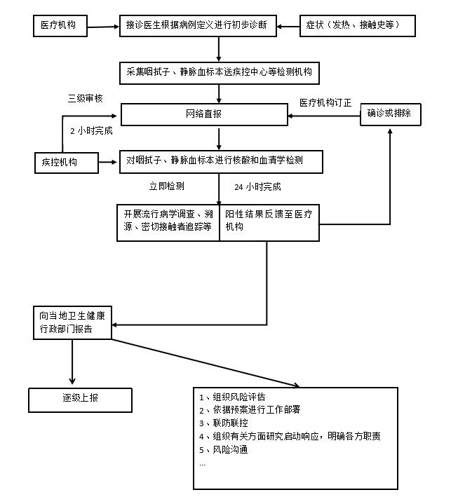 广西壮族自治区新冠疫情挑战与应对策略