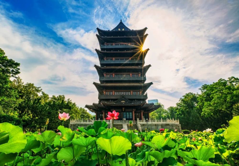 广西合肥市的魅力之旅探秘