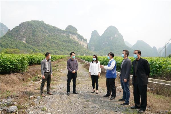 广西南宁疫情最新政策及其影响分析