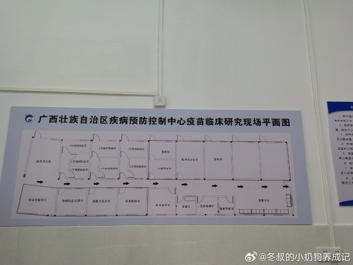 广西壮族自治区疫情防控中心电话，健康与安全的联络桥梁
