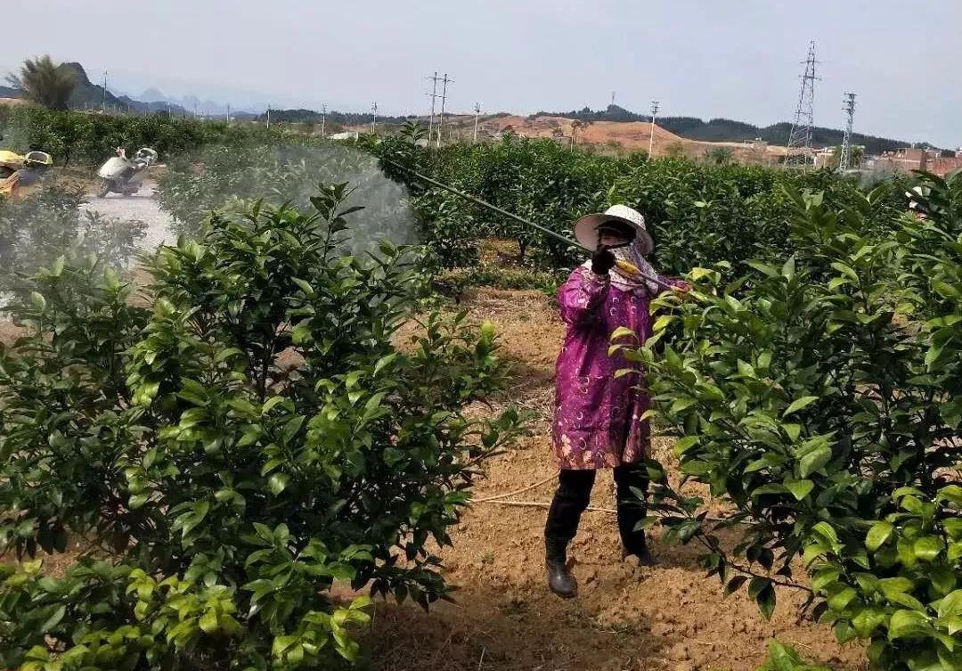 广西南宁发布最新防疫公告，筑牢防控防线，守护群众生命健康