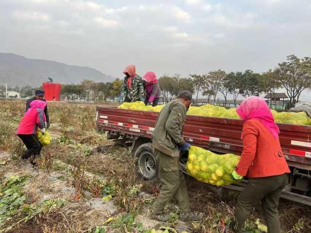 宁夏回族自治区疫情最新通报，众志成城，共同抗击疫情