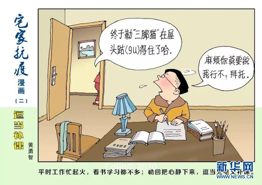 黑龙江与重庆疫情最新动态，抗疫进展与消息更新