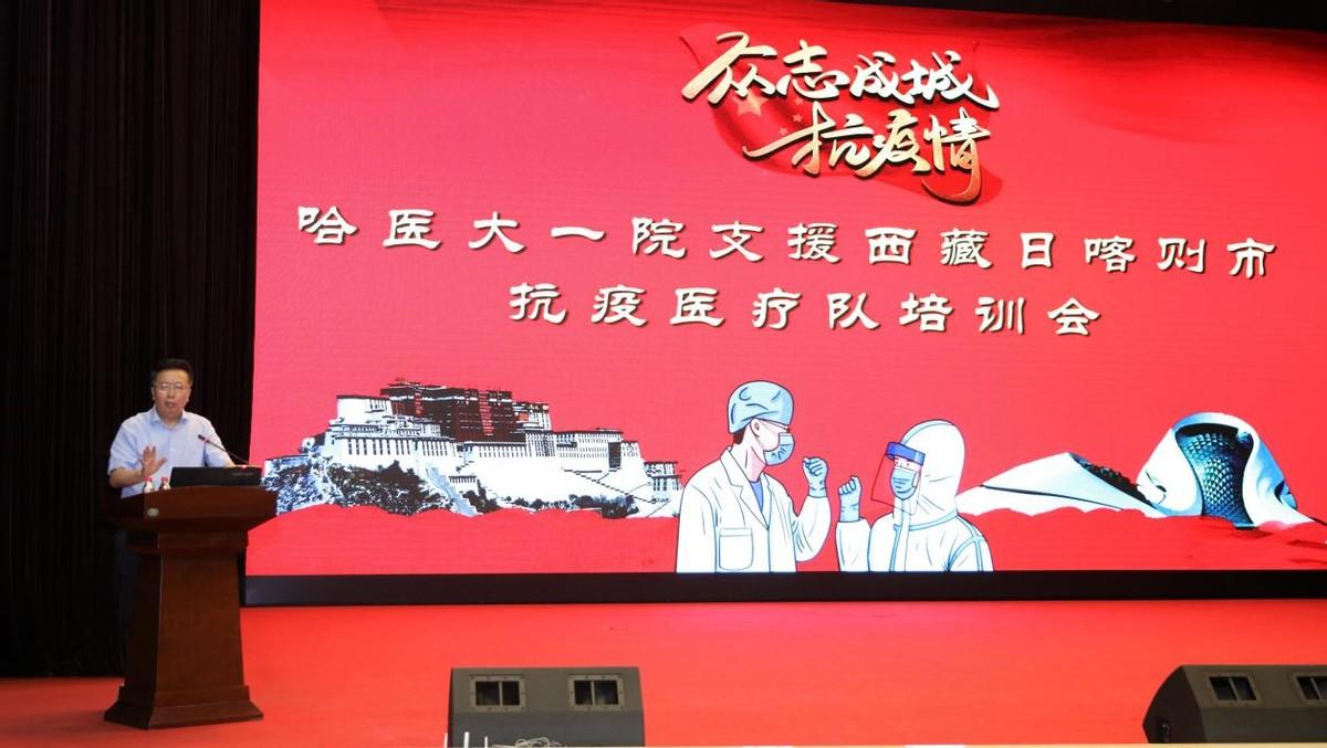 黑龙江与南京携手抗疫，守护家园安宁的最新疫情动态