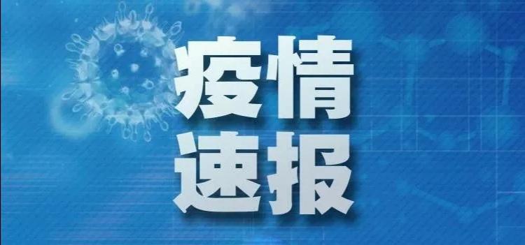 黑龙江省疫情最新动态，与杭州的关联更新