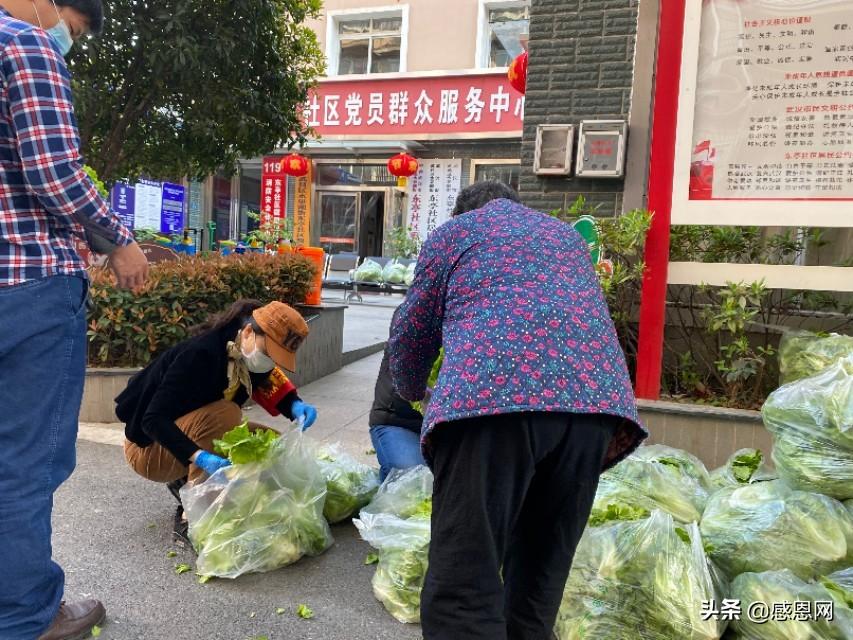 成都与黑龙江携手抗疫，共克时艰前行