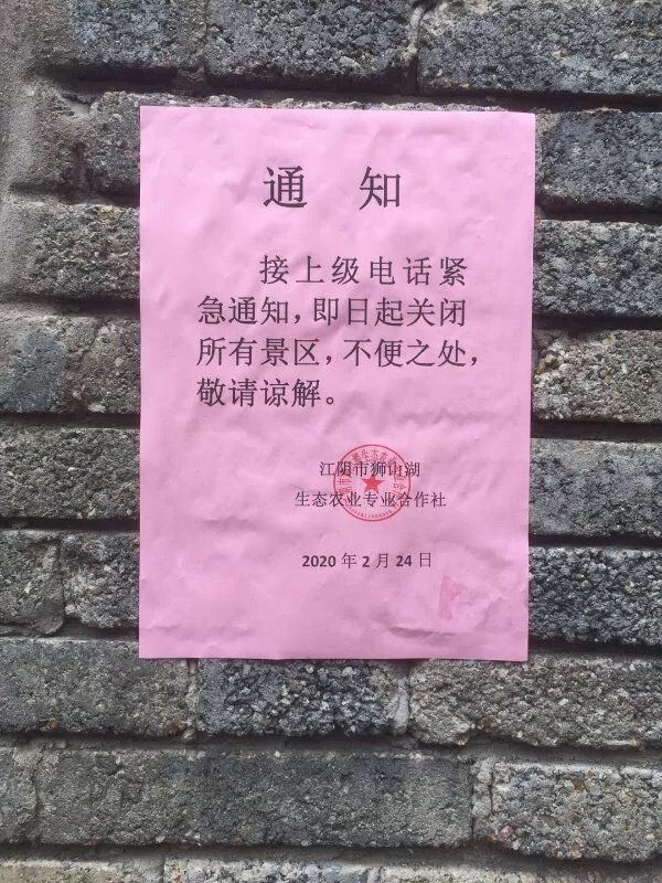 黑龙江省疫情最新动态，众志成城，共克时艰