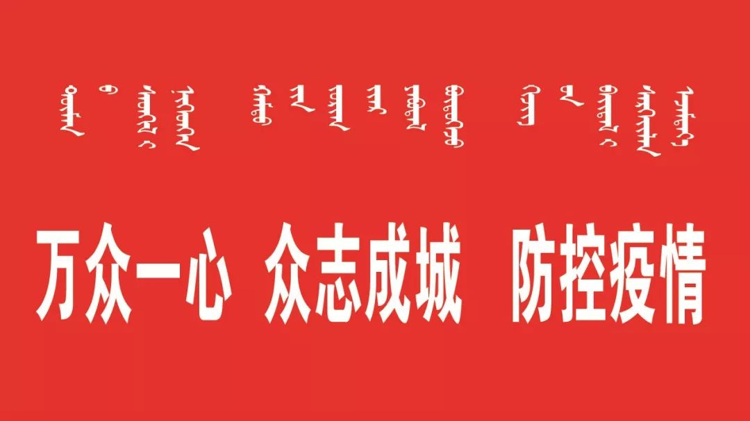 宁夏回族自治区疫情防控办公室，筑牢防线，守护人民健康安全