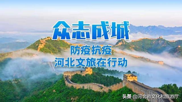 广州与拉萨疫情最新动态，城市健康关注与抗疫进展