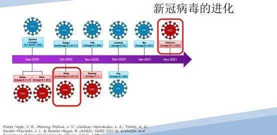 新冠病毒深度解析，疫情下的病毒探究