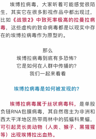 全球公共卫生危机启示，疫情爆发年份与应对策略