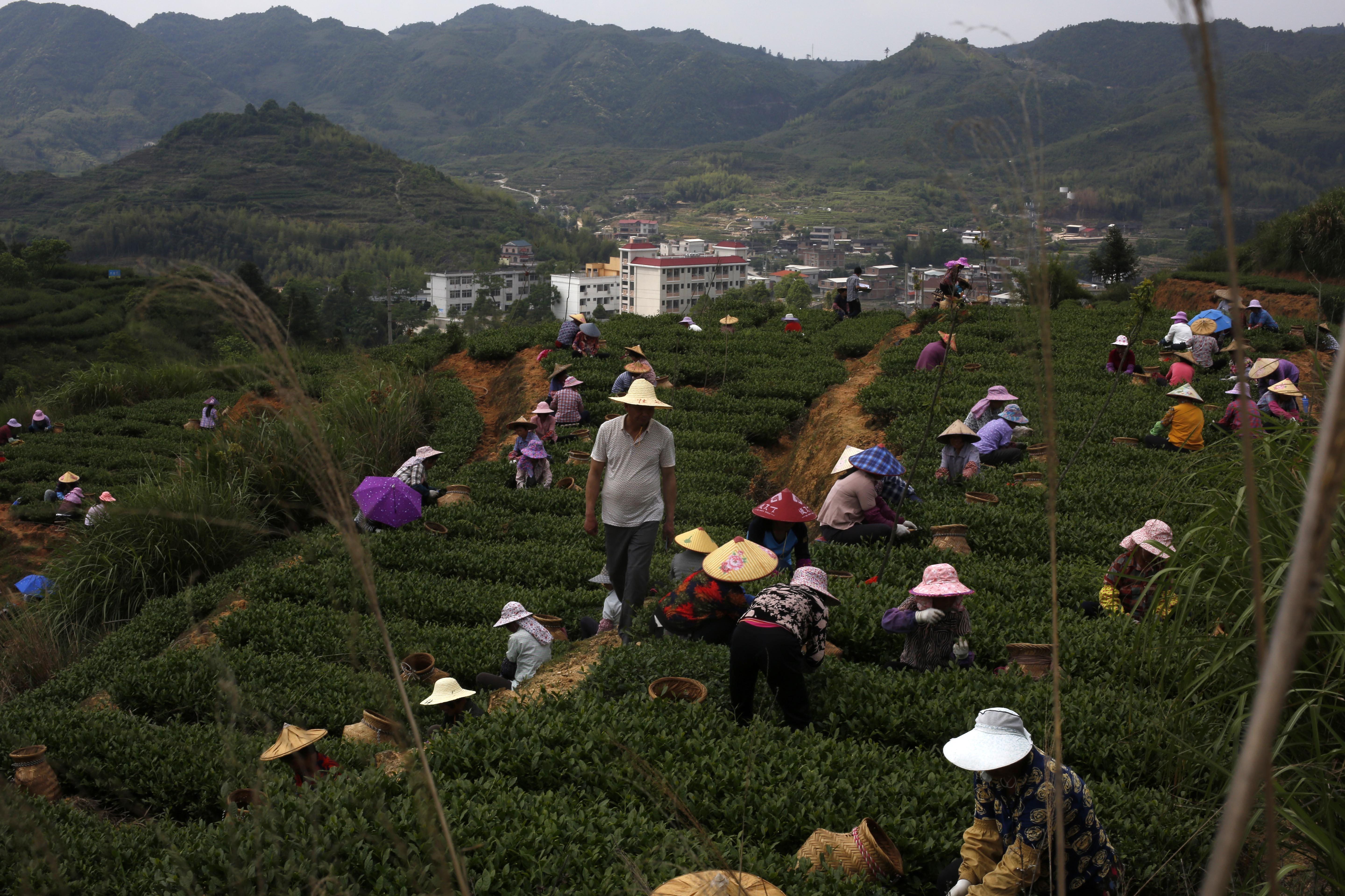 疫情影响下的收入证明范本深度解析