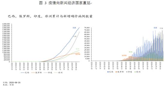 全球疫情起源与早期发展，探寻疫情最早时刻的真相