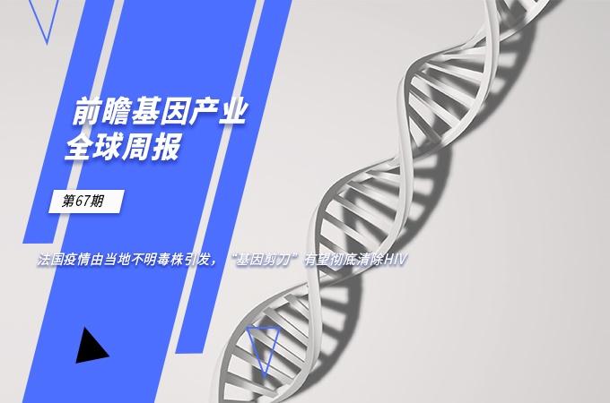 疫情始末，回顾过去，前瞻未来