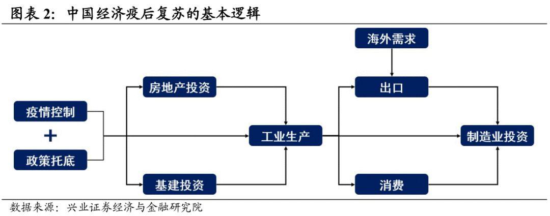 疫情起点，回顾过去，展望未来