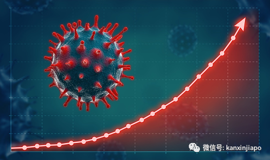 揭秘新型冠状病毒，疫情背后的挑战与崛起之路