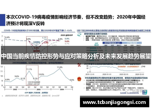 未来三年疫情控制展望与探讨