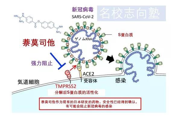 揭秘，疫情爆发时间节点与影响深度解析