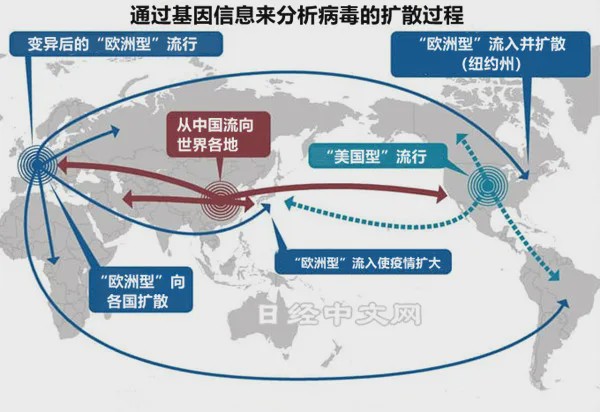 黑河疫情起源探究，揭秘病毒源头与传播路径