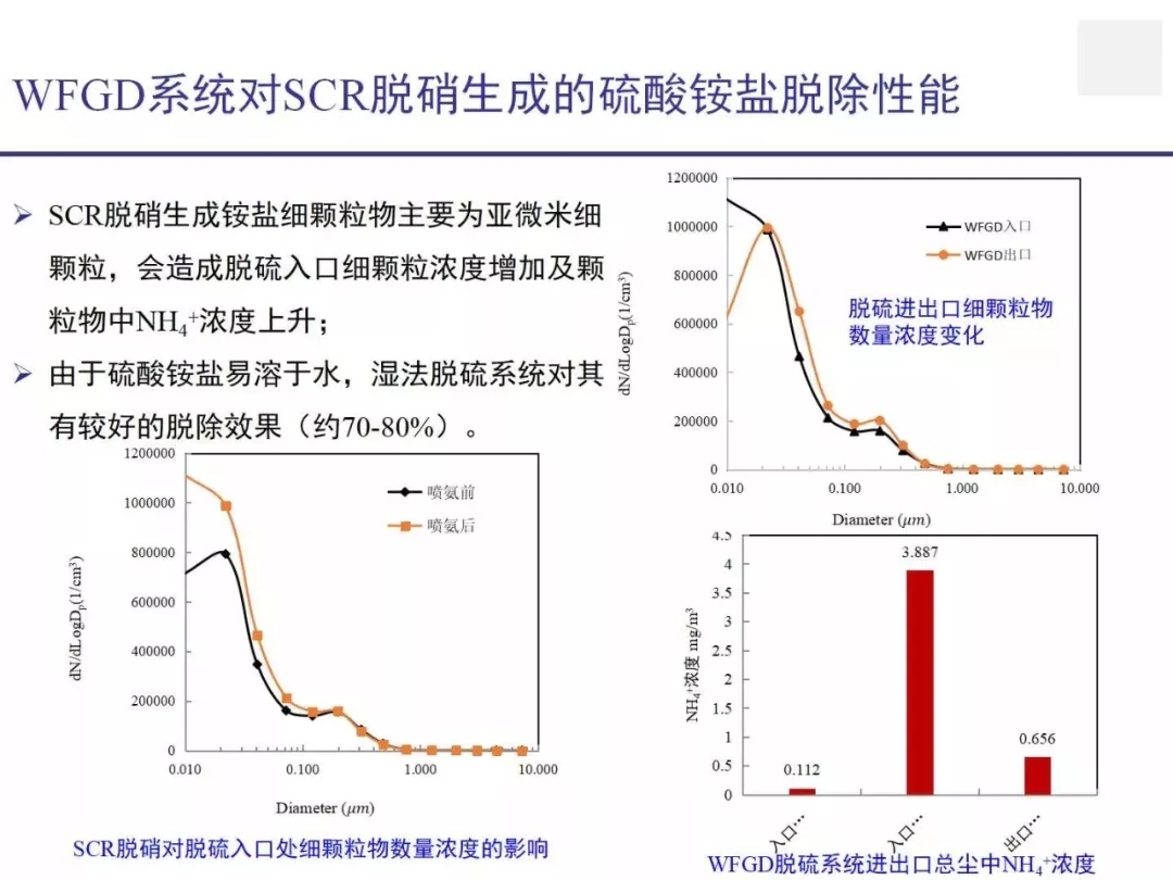 疫情病毒，形态特征及其广泛影响