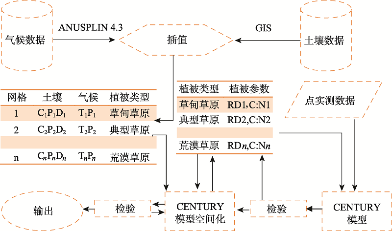 疫情病毒，形态特征及其广泛影响