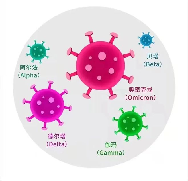 疫情病毒，名字背后的控制力量揭秘