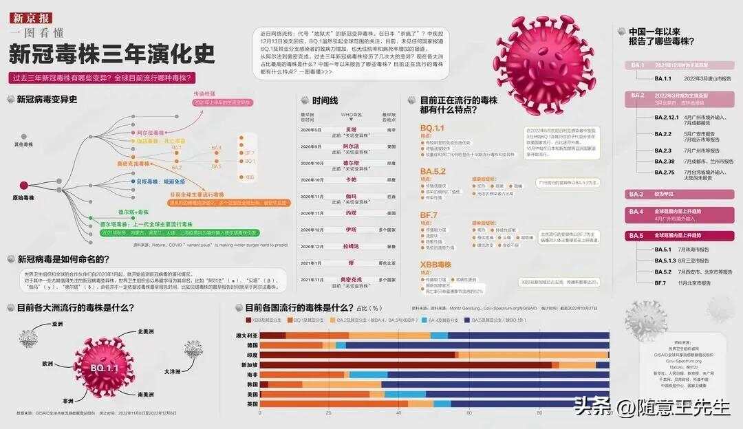 疫情病毒揭秘，真实身份与属性探究