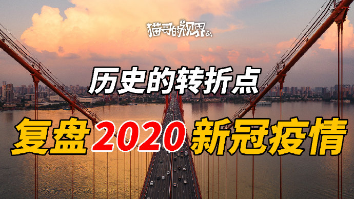 回望与反思，新冠疫情起点及其深远影响回顾，2020年疫情启示录