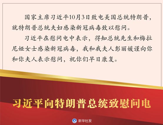 新冠疫情全过程，挑战与应对策略