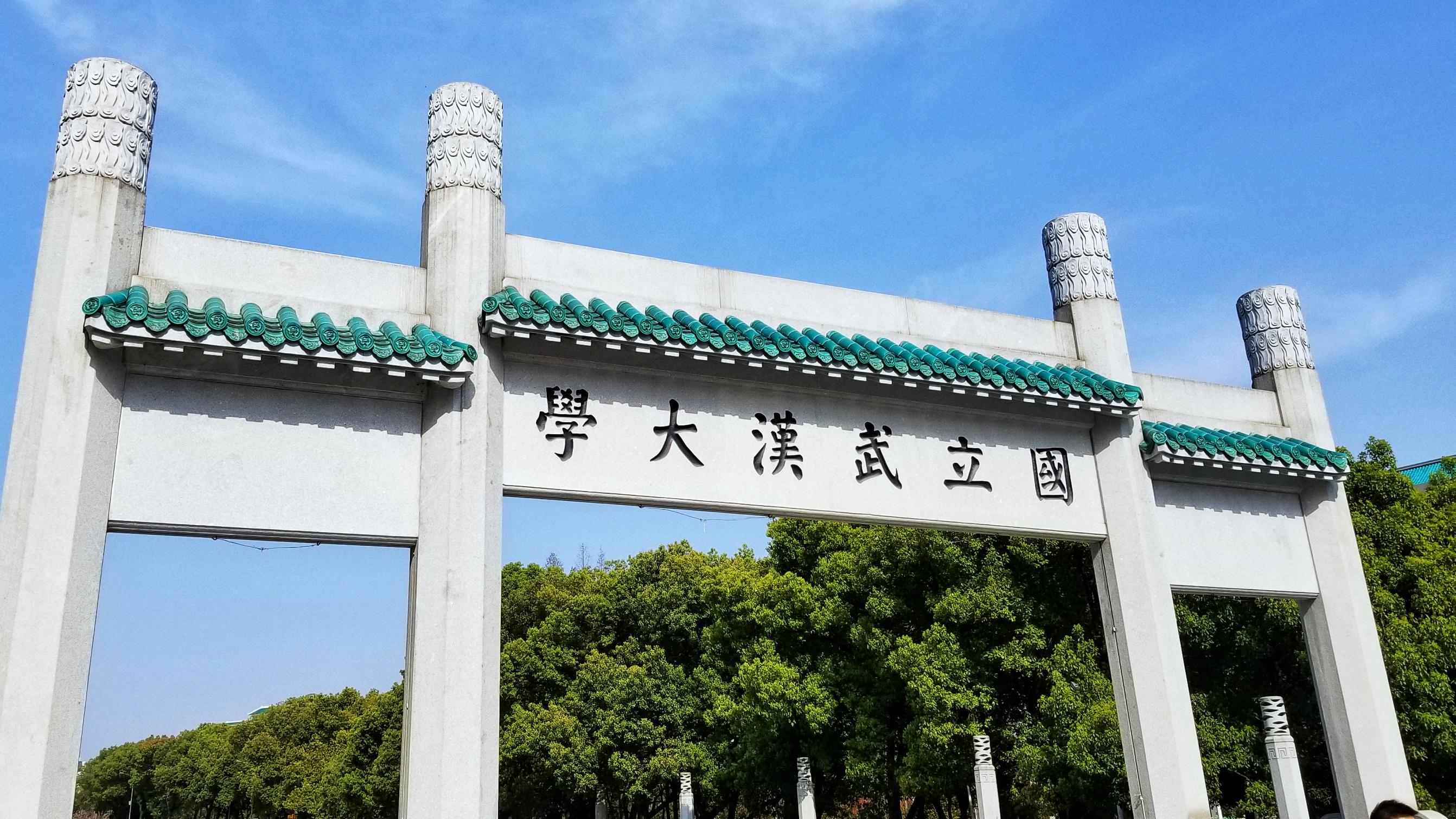 回望武汉疫情起点，挑战与希望的交织时刻（2019年）