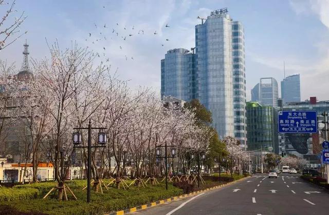 上海疫情春暖花开时，繁华活力再现城市风采