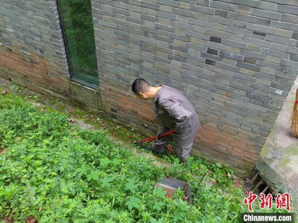 四川疫情阶段分析及应对策略