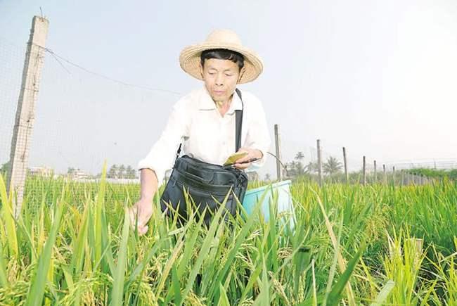 海南疫情控制时间节点与策略解析