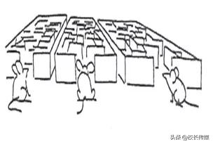 疫情家庭漫画，温馨与力量的最新篇章