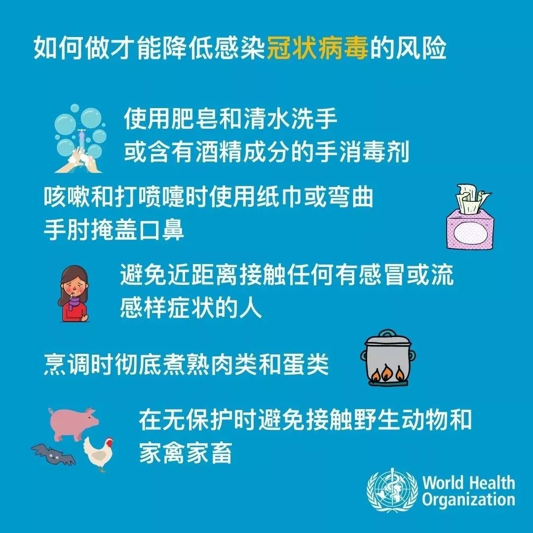 疫情起源时刻揭秘，探寻病毒肆虐的起点时刻