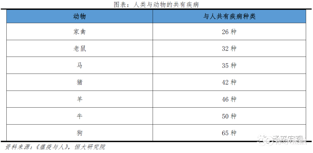 全球公共卫生危机，疫情起源的时间与影响回顾