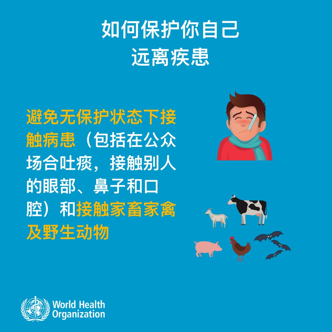 疫情发现之际，全球共同抗击新型病毒的历史回顾