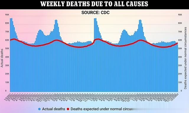 疫情死亡数据图揭示残酷真相，疫情背后的生命代价