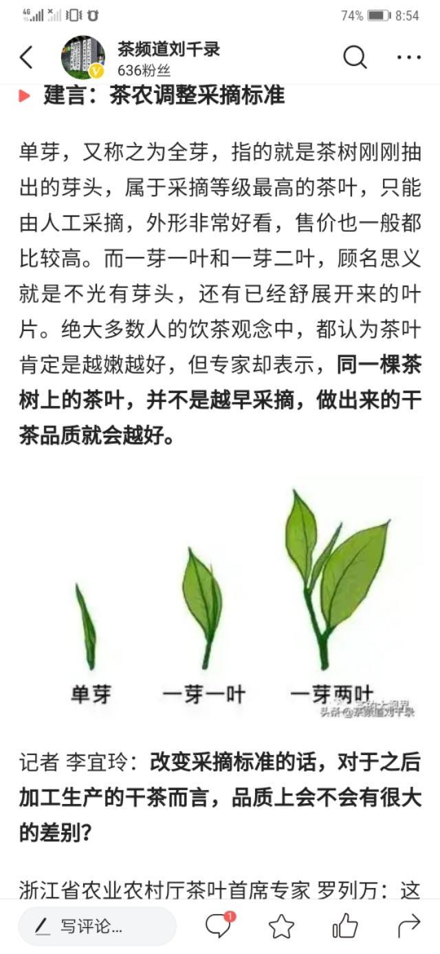 疫情始末，全球共同面对的历史转折时刻
