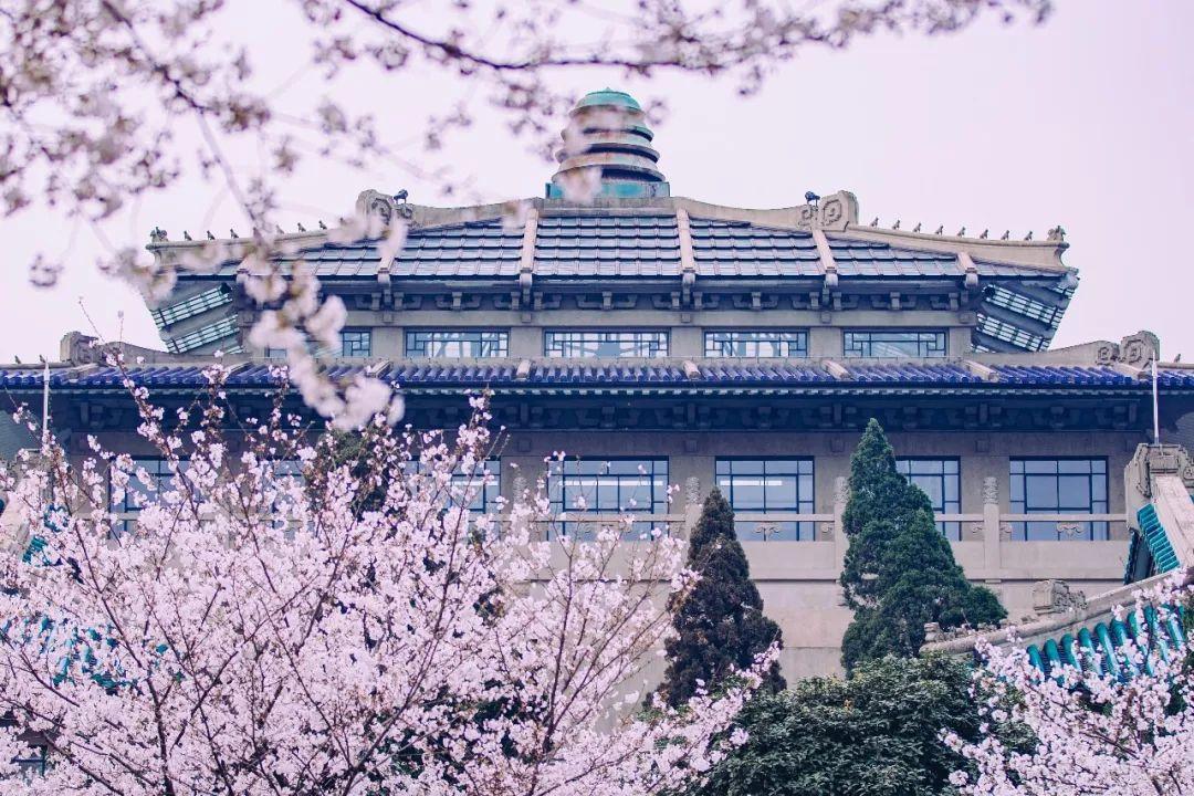 疫情下的希望与等待，开始与结束的历程