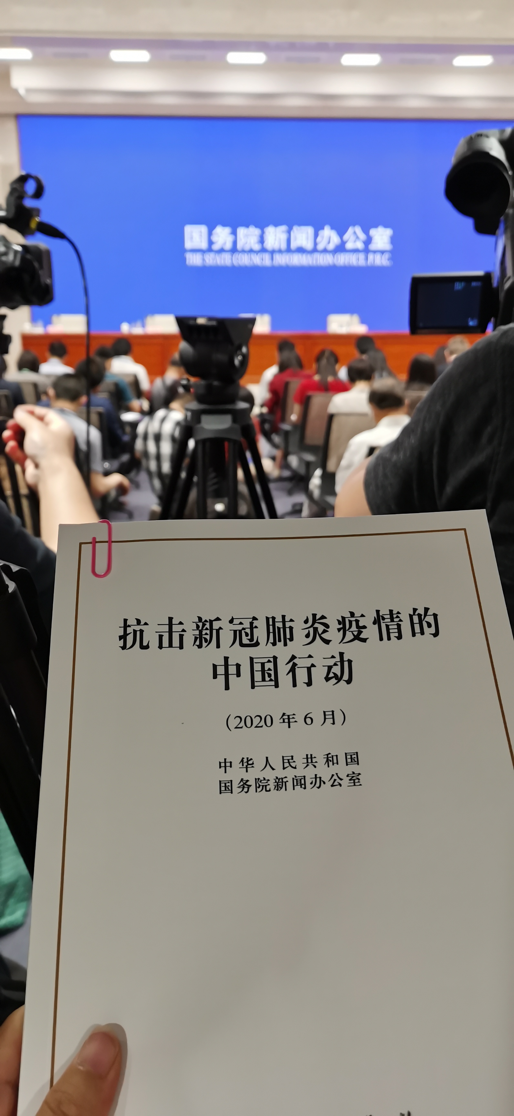 全球共同抗击疫情历程回顾与反思，疫情起源及历史探究